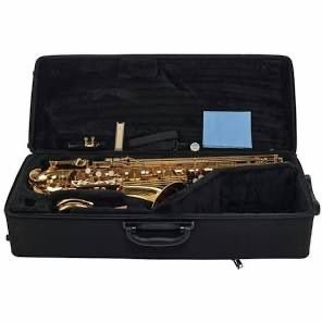 Saxophone Case and Accessories